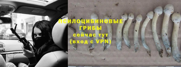 ешки Корсаков