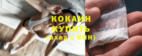 ешки Корсаков