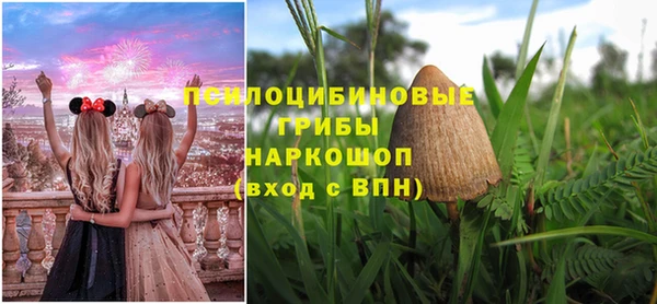 первитин Костерёво