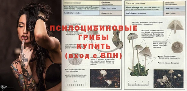 ешки Корсаков