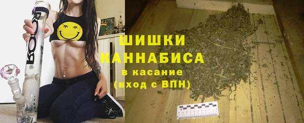 ешки Корсаков